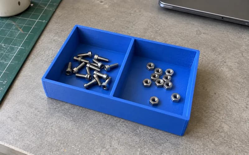 Blue printed parts tray with a center divider, screws and nuts.
